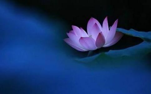 真正的姻缘和合术 八字有缘相合是关键