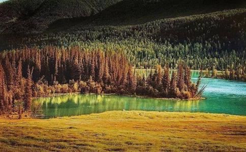 童子命起源是什么？到底好不好