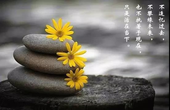 为什么会有童子命？应该如何化解