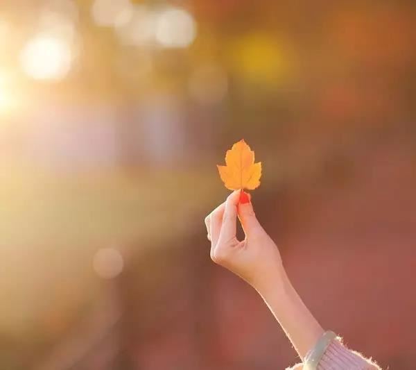 夫妻和合术 流传千年的道家经典