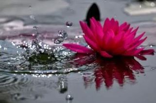 佛教还阴债的方法步骤是怎么样的