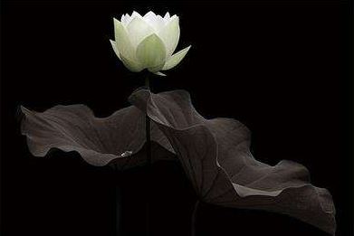 8年感情分手可以挽回吗