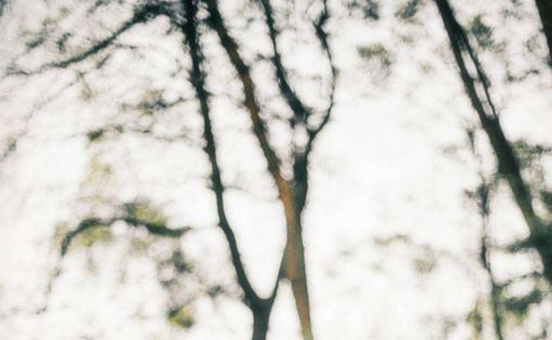 道家和合术大揭秘，真的可信吗？