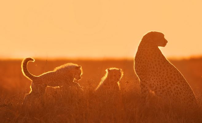 补财库法事适合哪类人？为什么要补财库