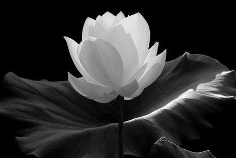 打胎以后是不是不能去烧香拜佛，道长开示