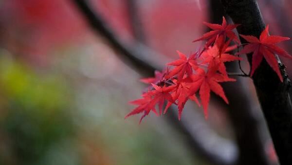 补财库法事真谛是什么？为什么要补财库