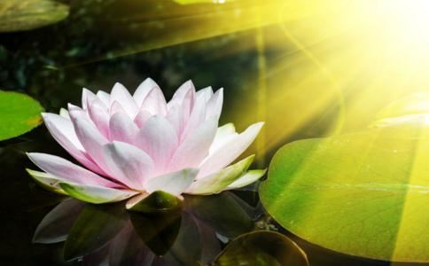 补财库法事方法是什么？为什么要补财库