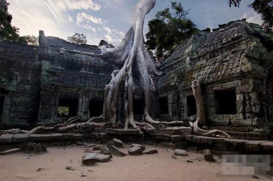 还完寿生债的真实感应，亲身经历