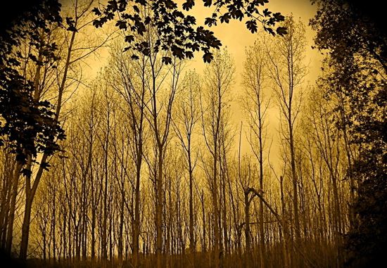 堕胎流产真的会有婴灵吗，应该怎么超度婴灵？