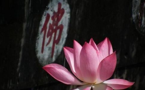 治少一点是什么字，治少一点读什么？