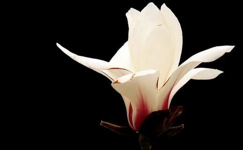 斩断桃花法事做完多久起作用