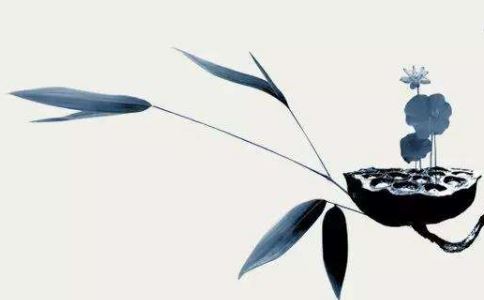 什么叫童子命？假童子命有哪些表现