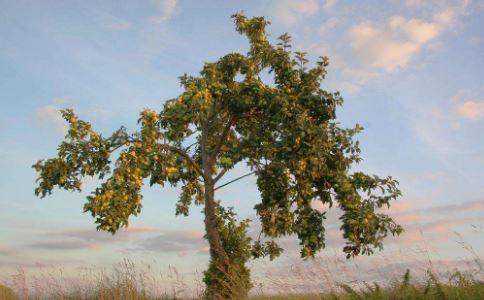 做了和合术的感觉很奇妙