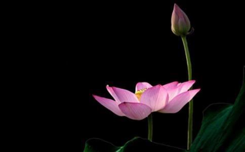 童子命死后会上仙界吗？童子命人死后归宿是什么