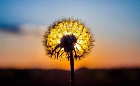 让对方主动找你的感情挽回方法