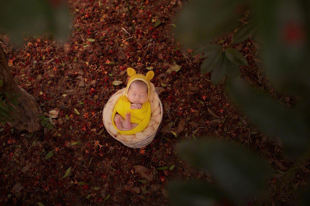 别再问试管婴儿要不要结婚证了，所有必要材料都在这里