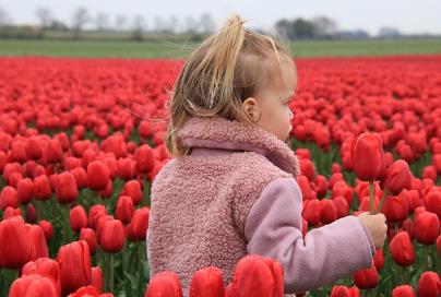 甘肃试管婴儿助孕费用大概要多少？费用可以报销吗？