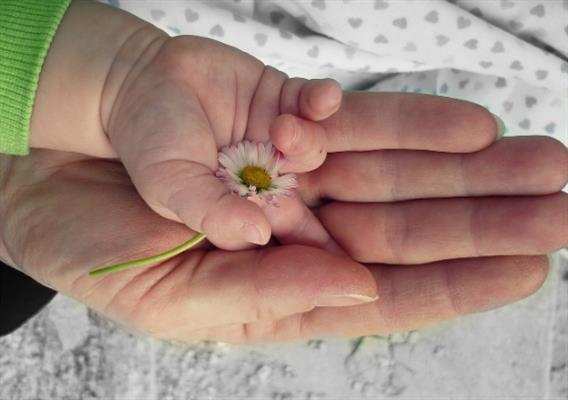 增加受孕率的10个小窍门，助你一击即中