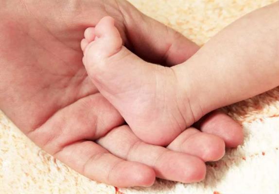 产后适合吃的蔬菜有哪些，产妇必吃的12种蔬菜