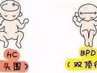 分享幼稚子宫患者三次移植后试管终于成功的真实经历