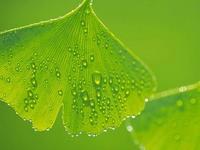 妈妈每天给孩子喝多少水才够，喂娃喝水也需要技巧