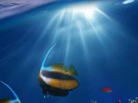 病理性子宫囊肿有何症状-子宫囊肿有什么症状表现