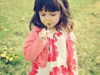 美国试管婴儿移植几个胚胎好